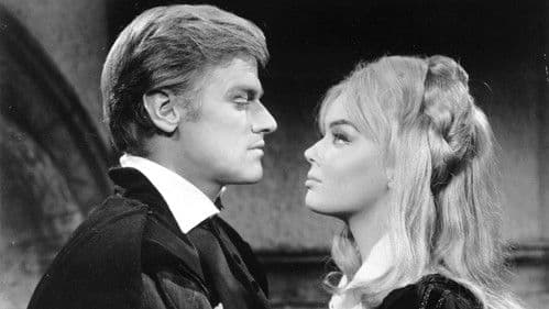 Pirat der sieben Meere Bild 1