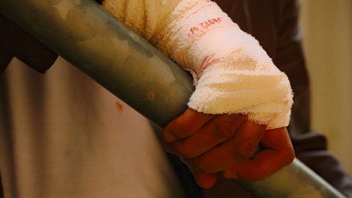 Trapped In Sight Bild 5