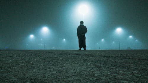 Return to Your Dreams Bild 1