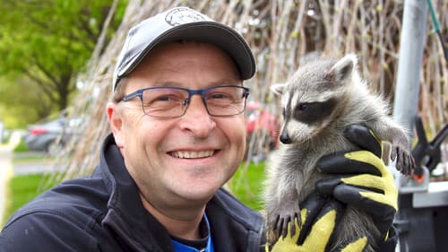 Louis et la faune urbaine Bild 3