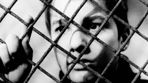 Sie küssten und sie schlugen ihn Bild 5