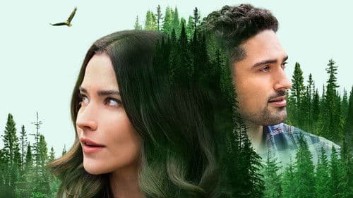 Journey of My Heart Bild 1