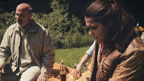 An Inconsistent Story in Stealing Bild 1