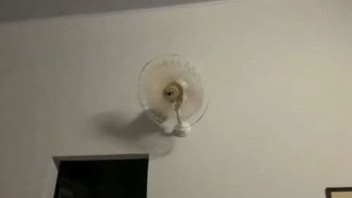 Distorção do Universo Bild 6