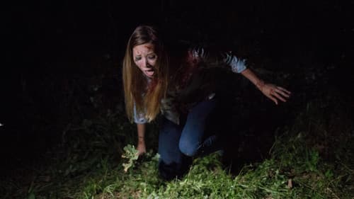 Found Footage Bild 2