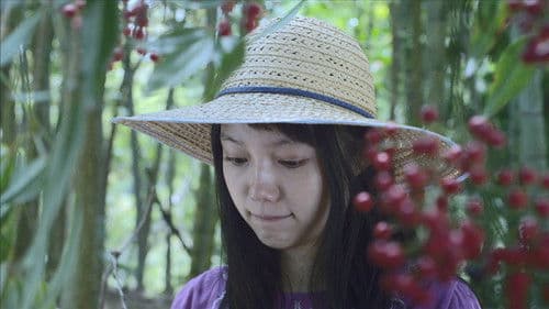 きいろいゾウ Bild 7