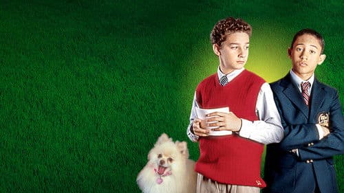 Herrchen wider Willen Bild 2