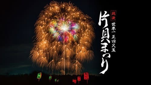 越後 世界一 正四尺玉  片貝まつり Bild 1