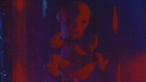 Dr. Dildo's Secret Bild 1