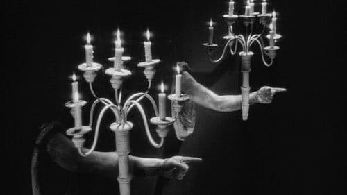 Die Schöne und die Bestie Bild 2