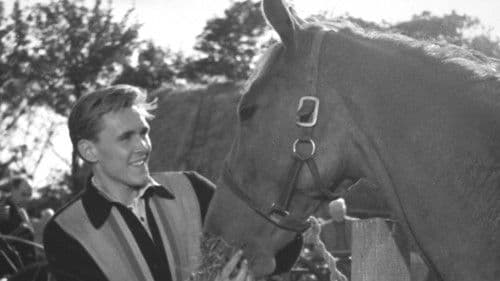 I've Gotta Horse Bild 1