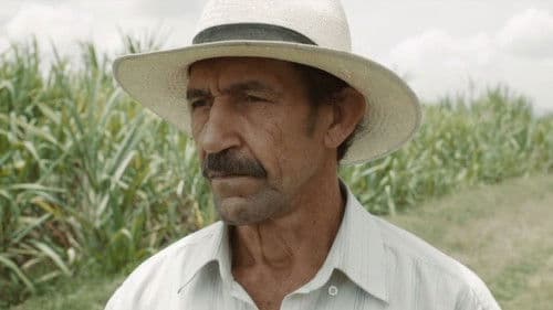 La tierra y la sombra Bild 3