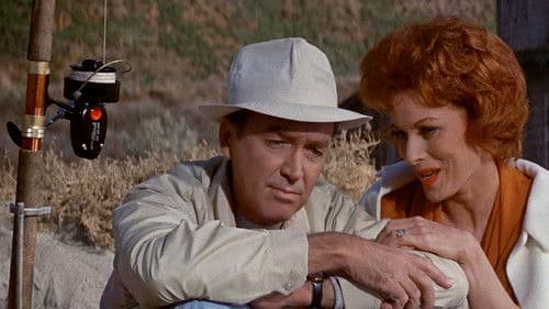 Mr. Hobbs macht Ferien Bild 8