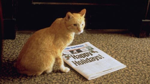 Allein gegen die Zukunft Bild 8