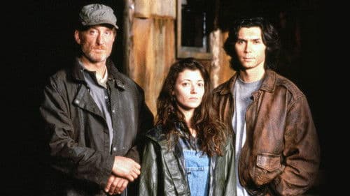 Im Auge des Hurricane Bild 2