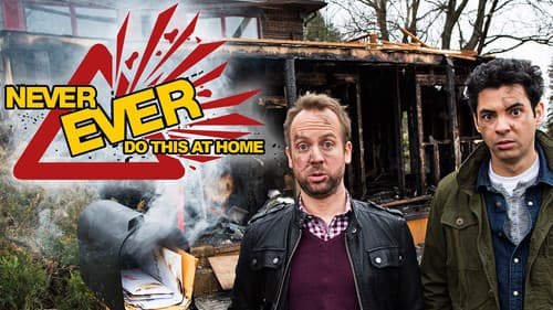 Never Ever Do This at Home Bild 3