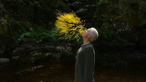 Leaning Into the Wind: Andy Goldsworthy Bild 7