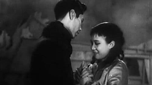 Song at Midnight Bild 2