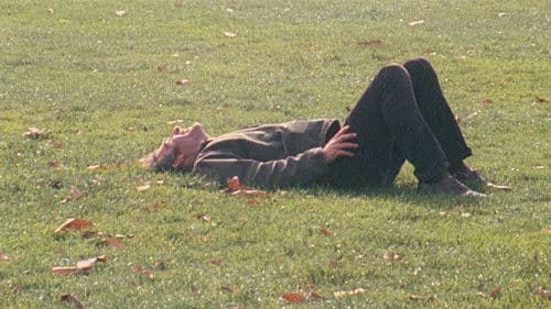 Daddy Longlegs Bild 5