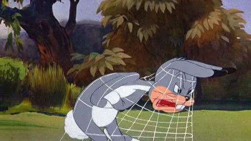 Vorsicht Kamera! Bild 2