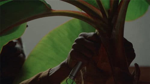 Recetas Para Sobrevivir a Este Universo Bild 7