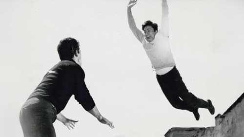 Yakut Gözlü Kedi Bild 3