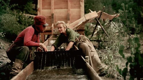 Der Galgenbaum Bild 4