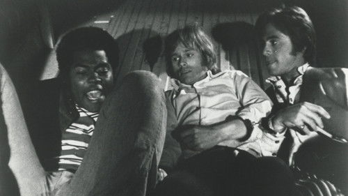 Wild in the Sky Bild 1