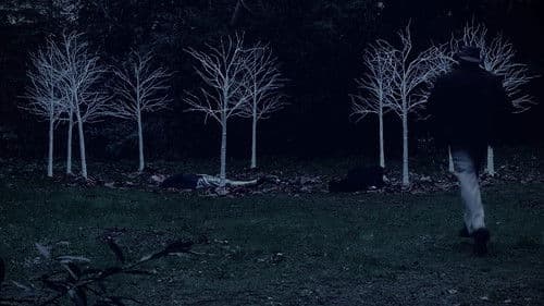 Queen of Hearts: A Twin Peaks Fan Film Bild 1