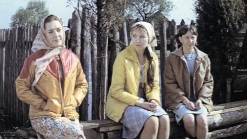 Дожди по всей территории Bild 1