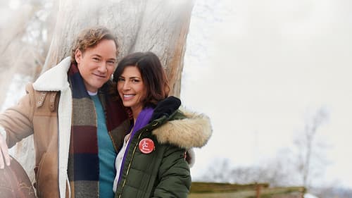 Weihnachtsferien zum Verlieben Bild 3