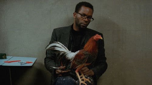 Scheiß auf den Tod Bild 2