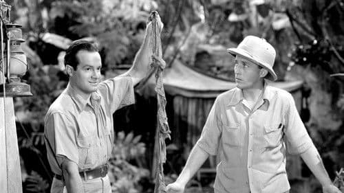 Der Weg nach Sansibar Bild 5