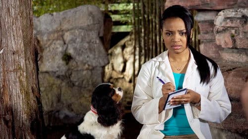 Dr. Dolittle 4 Bild 5