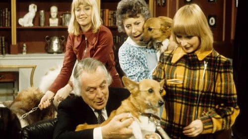 Aber, aber Vater Bild 1