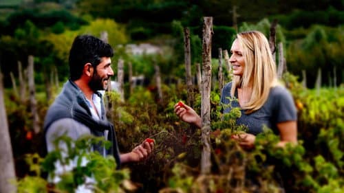 The Global Farm Bild 1