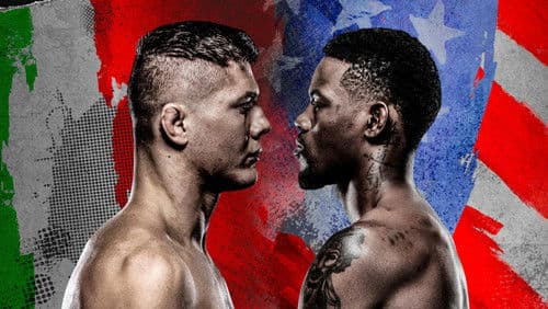 UFC on ABC 2: Vettori vs. Holland Bild 1