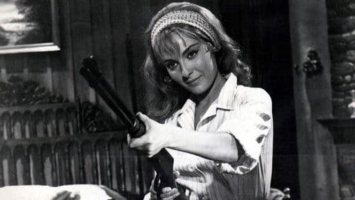 Schnelle Colts für Jeannie Lee Bild 1