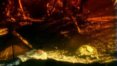 O Território Bild 4