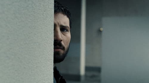 Risse im Beton Bild 1