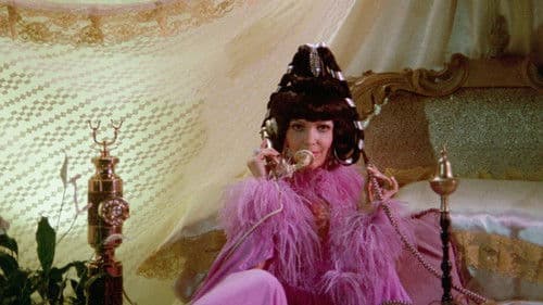 Sammy, der Waisenknabe Bild 4