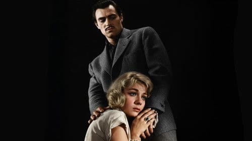 Bir Şoförün Gizli Defteri Bild 3