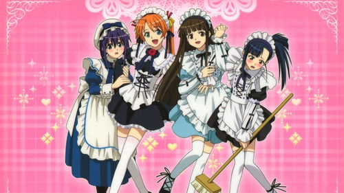 Magister Negi Magi Bild 2