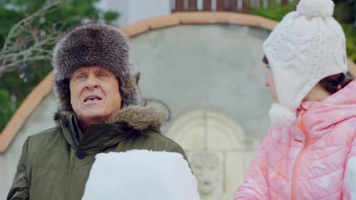 Новогодний переполох Bild 3