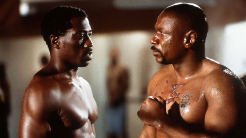 Undisputed - Sieg ohne Ruhm Bild 3