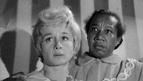 Ruf nicht zu laut Bild 3