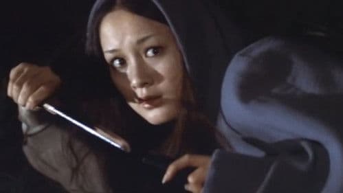 昭和おんなみち　裸性門 Bild 8