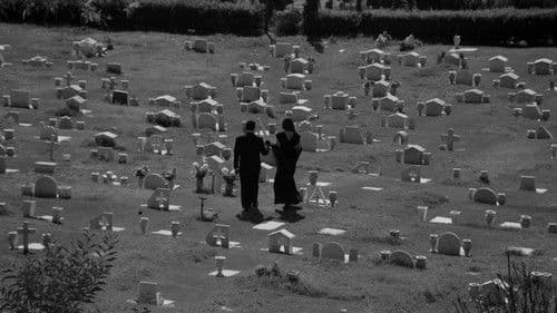 El encantador señor Brambila Bild 1