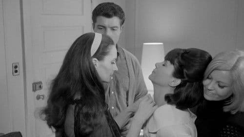 Red Roses of Passion Bild 7