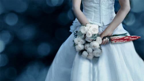 Meet Marry Murder Bild 1